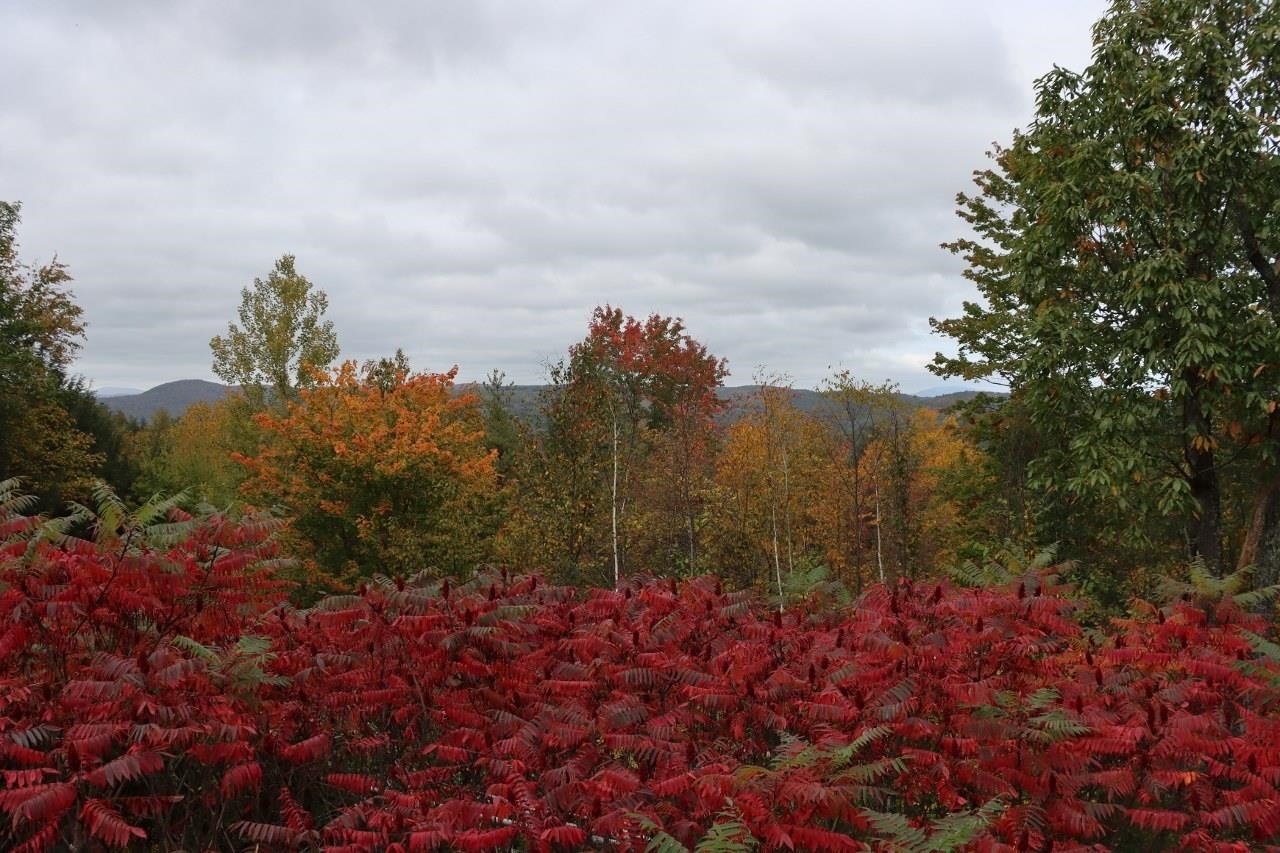 21 Stoddard Lane Rockingham, VT 05101 - Photo 8 of 23