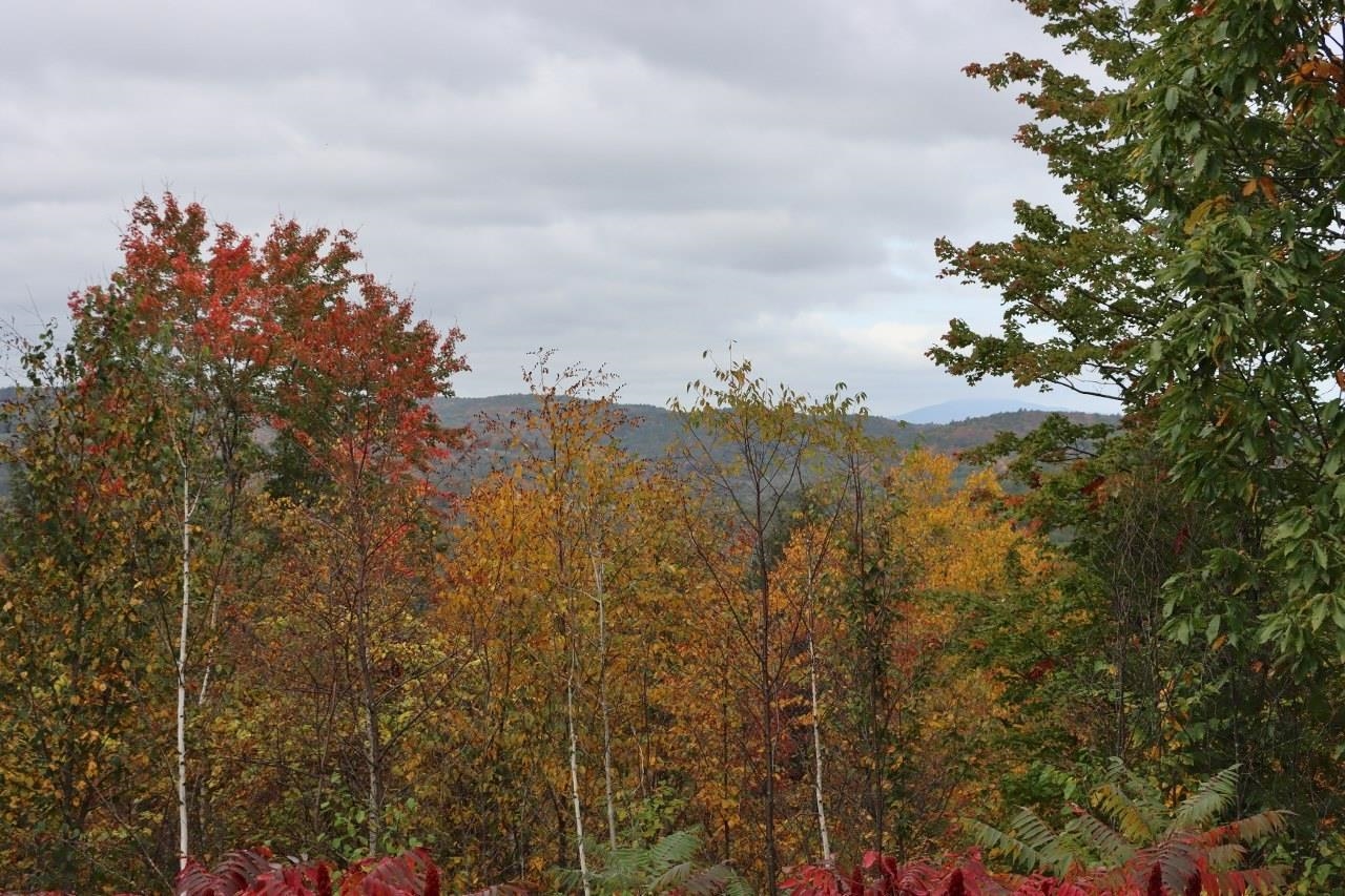 21 Stoddard Lane Rockingham, VT 05101 - Photo 9 of 23