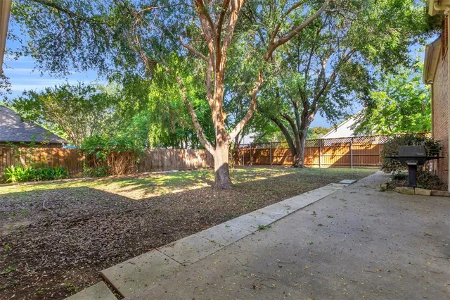 a view of a yard with a tree