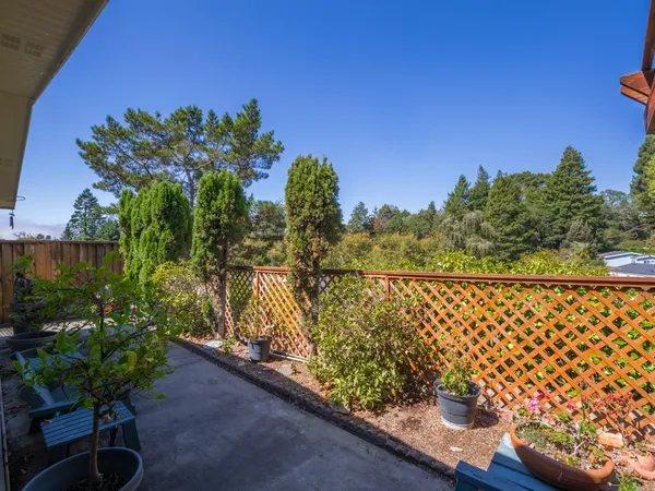 a view of a garden with flowers