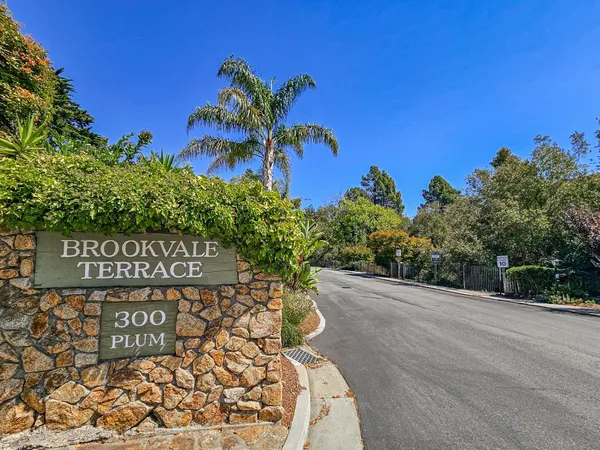 a view of a garden with plants