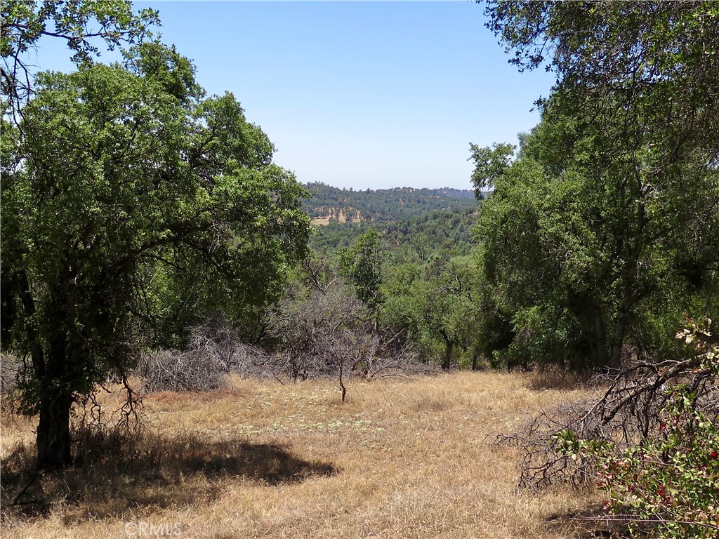 0 Ramblin Road Mariposa, CA 95338 - Photo 10 of 13