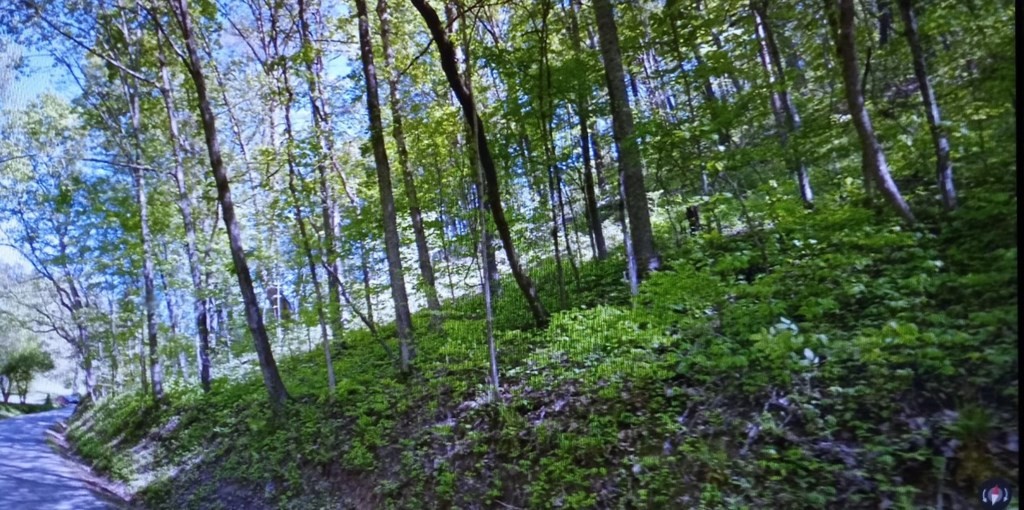 8200 Laurel Hollow Road Clinton, TN 37716 - Photo 2 of 4