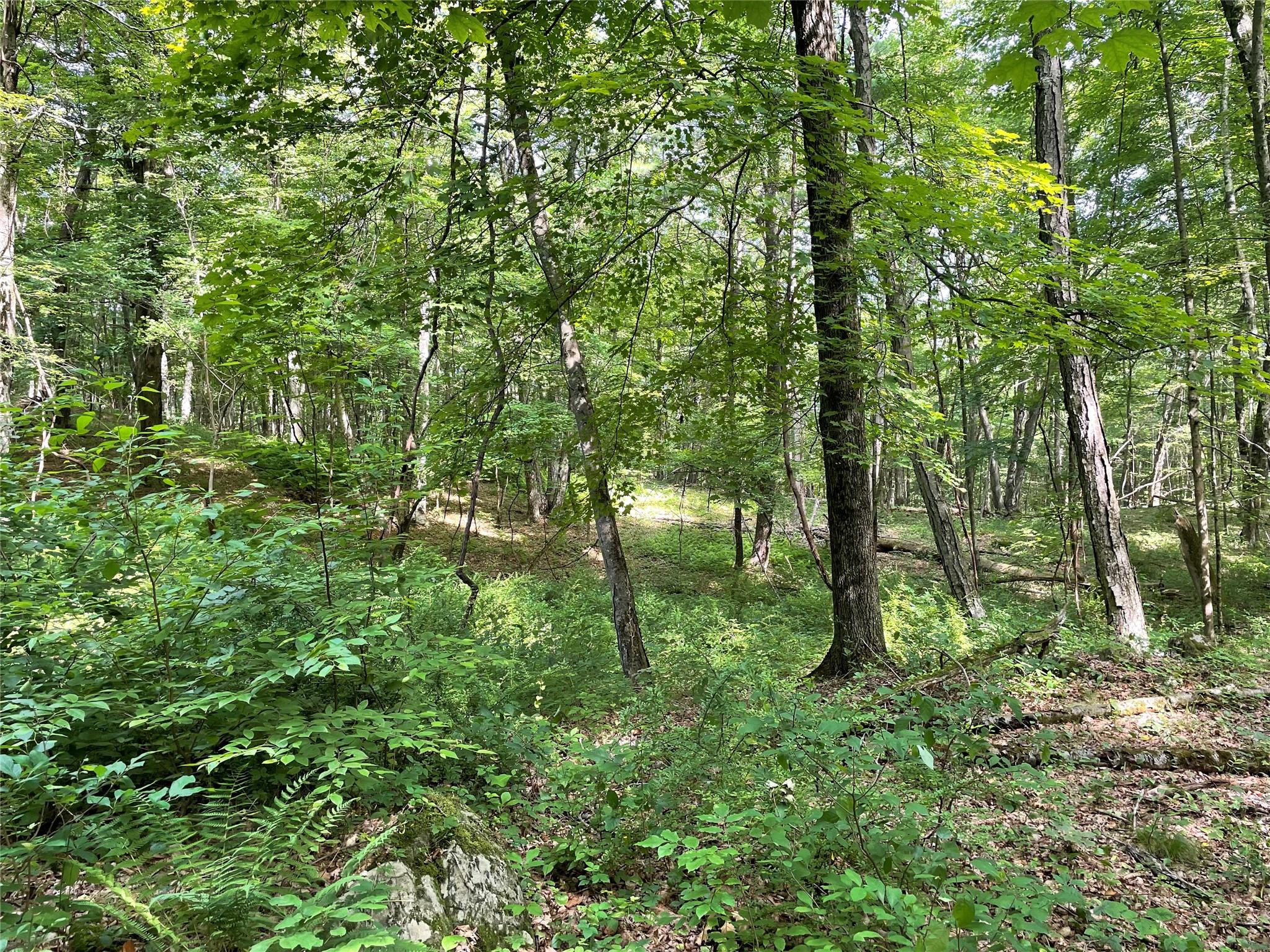0 Fiddler's Bridge/schoolhouse Road Clinton Corners, NY 00000 - Photo 14 of 50 a view of outdoor space and green space
