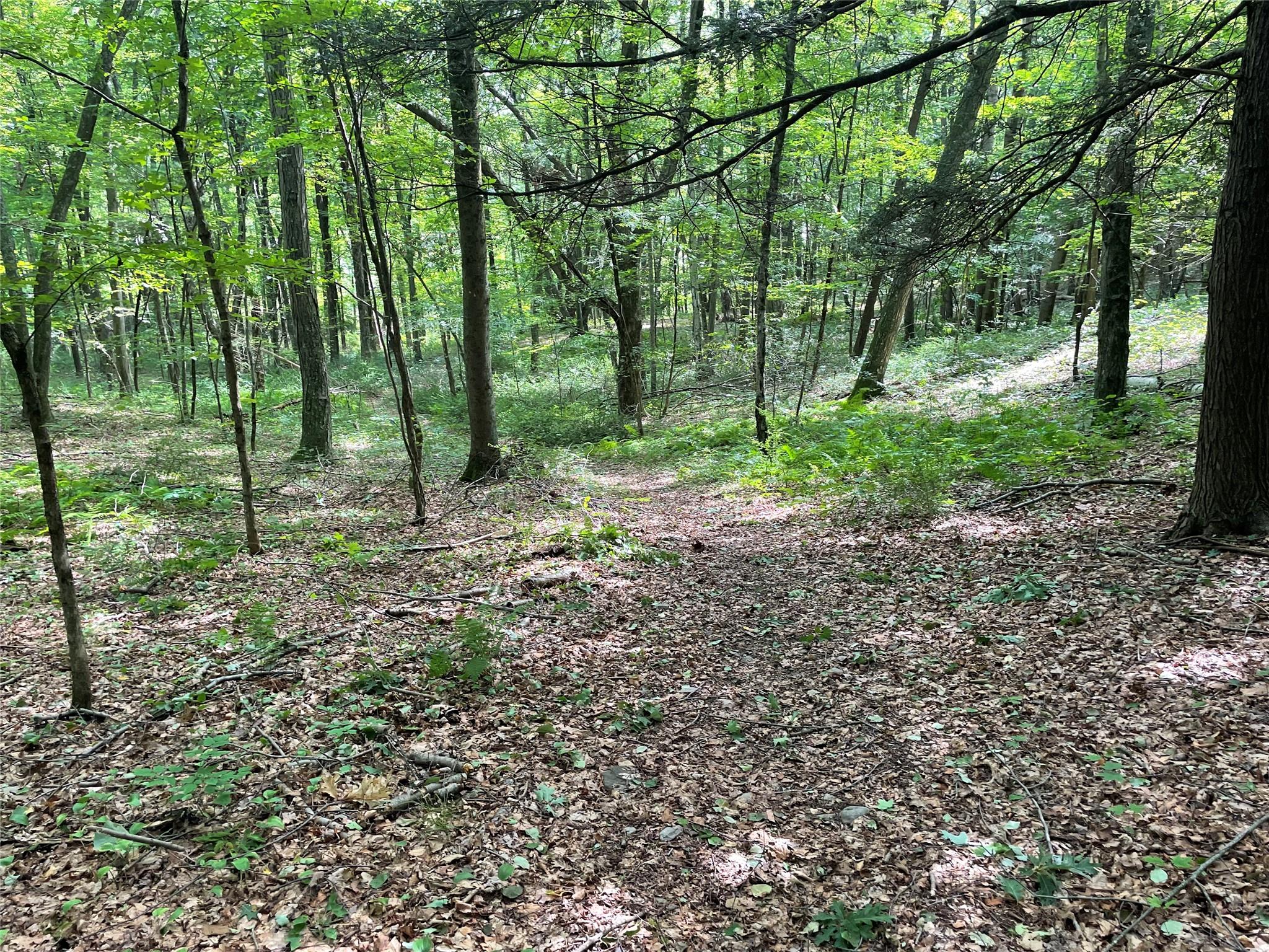0 Fiddler's Bridge/schoolhouse Road Clinton Corners, NY 00000 - Photo 16 of 50 a backyard of a house with lots of green space