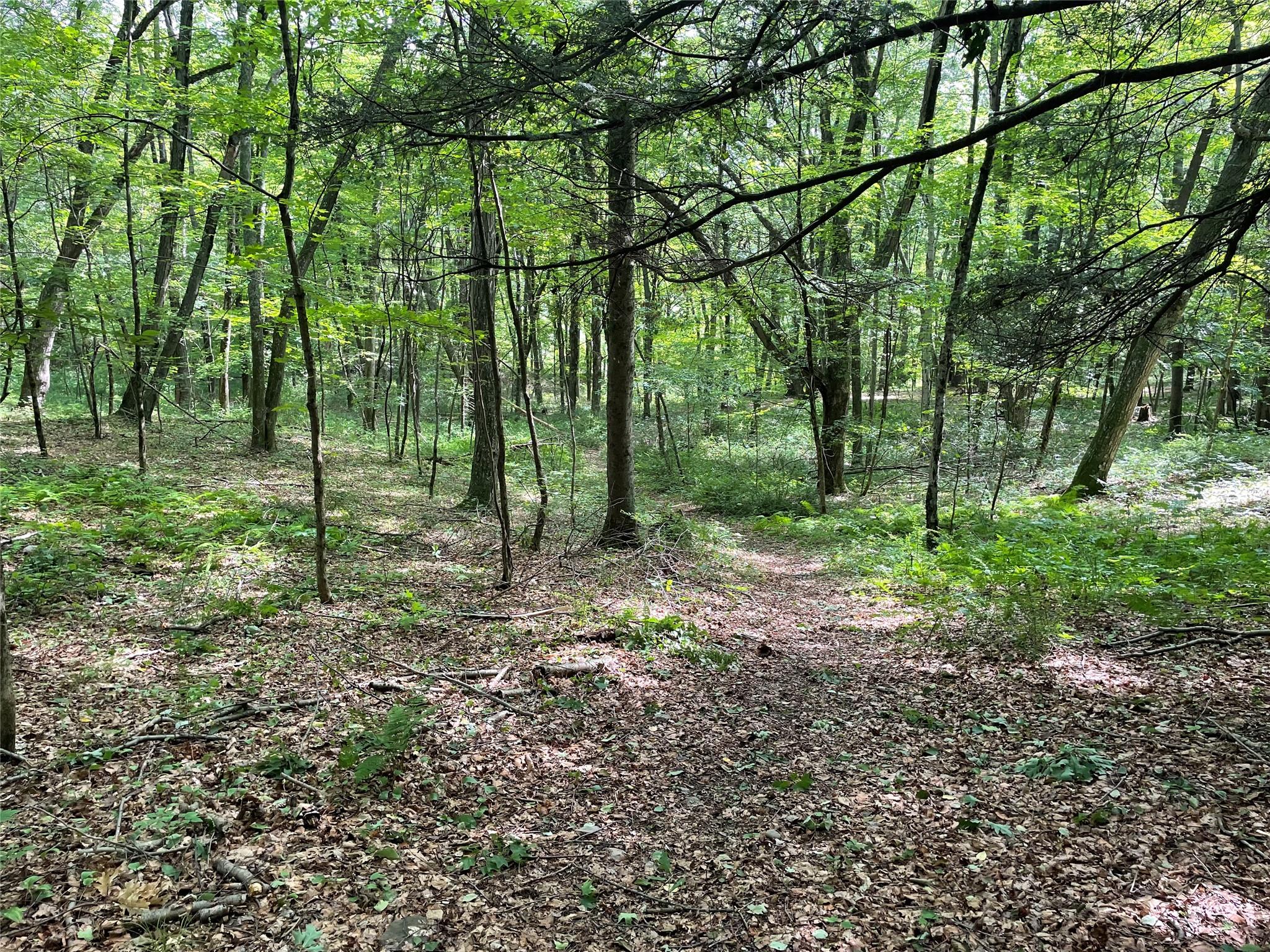 0 Fiddler's Bridge/schoolhouse Road Clinton Corners, NY 00000 - Photo 17 of 50 a view of outdoor space and green space