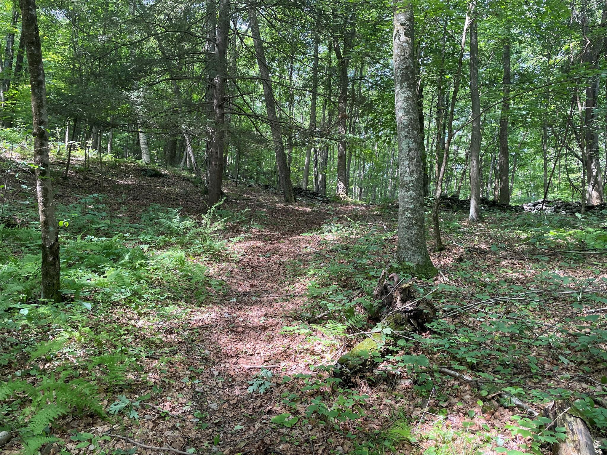 0 Fiddler's Bridge/schoolhouse Road Clinton Corners, NY 00000 - Photo 23 of 50 a view of outdoor space and green space