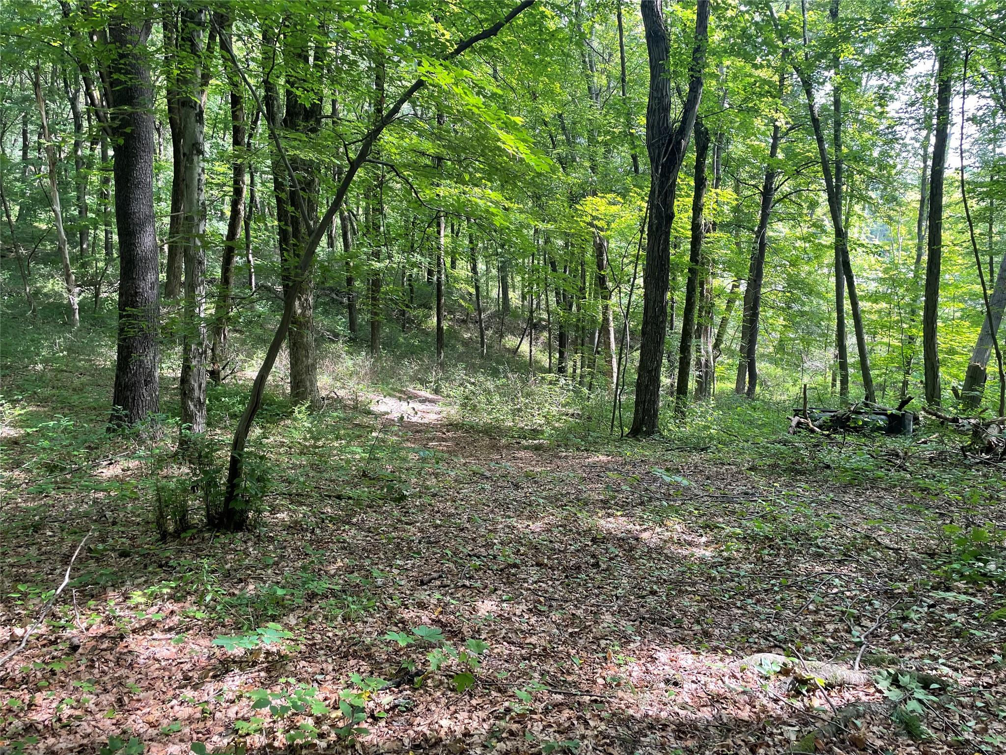 0 Fiddler's Bridge/schoolhouse Road Clinton Corners, NY 00000 - Photo 24 of 50 a view of outdoor space and green space