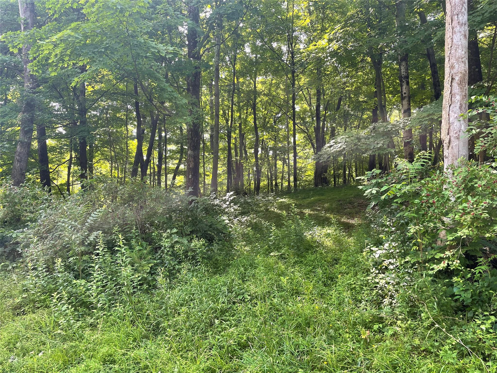 0 Fiddler's Bridge/schoolhouse Road Clinton Corners, NY 00000 - Photo 3 of 50 a big yard with lots of green space and house