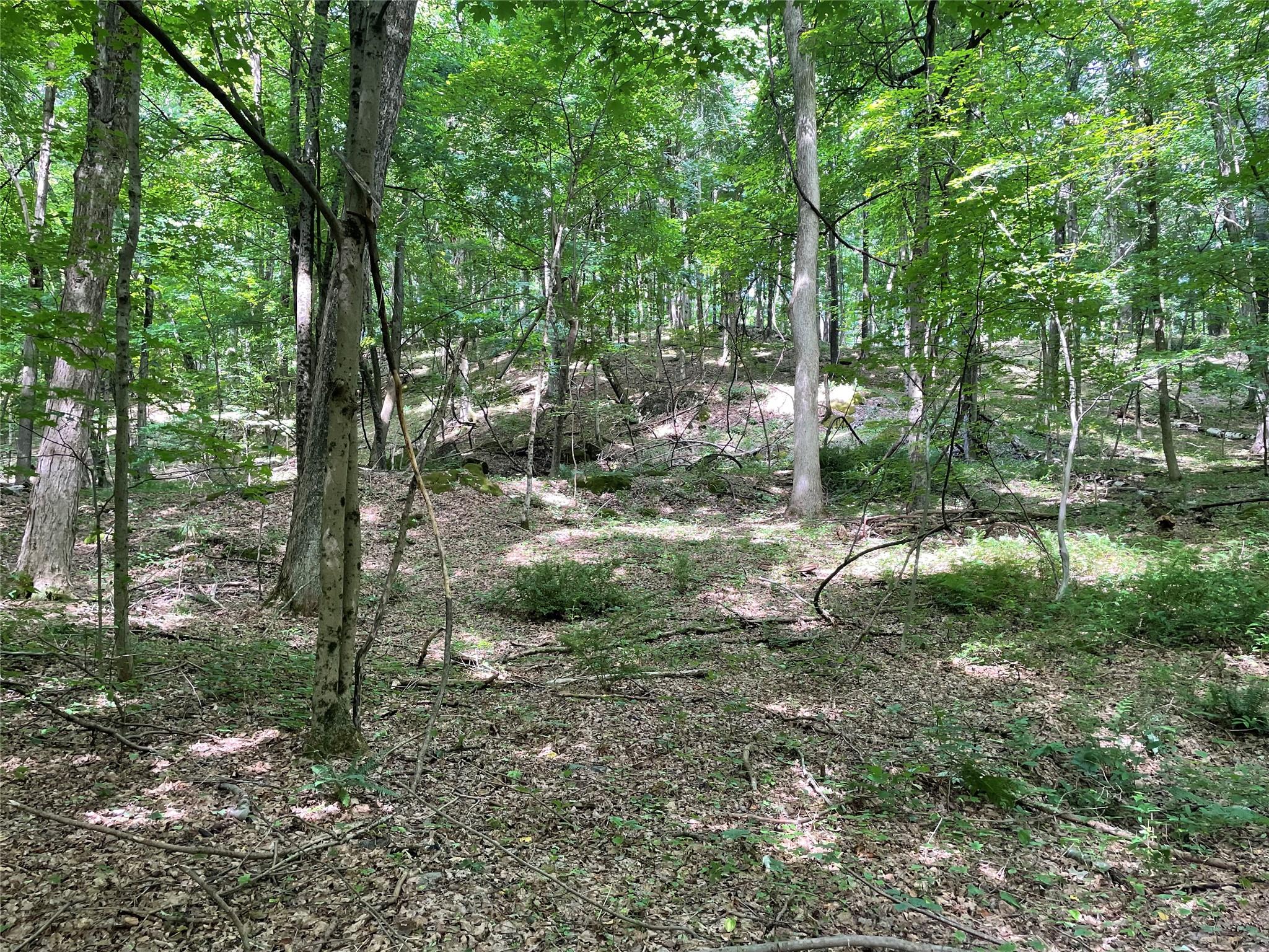 0 Fiddler's Bridge/schoolhouse Road Clinton Corners, NY 00000 - Photo 32 of 50 a view of outdoor space and green space