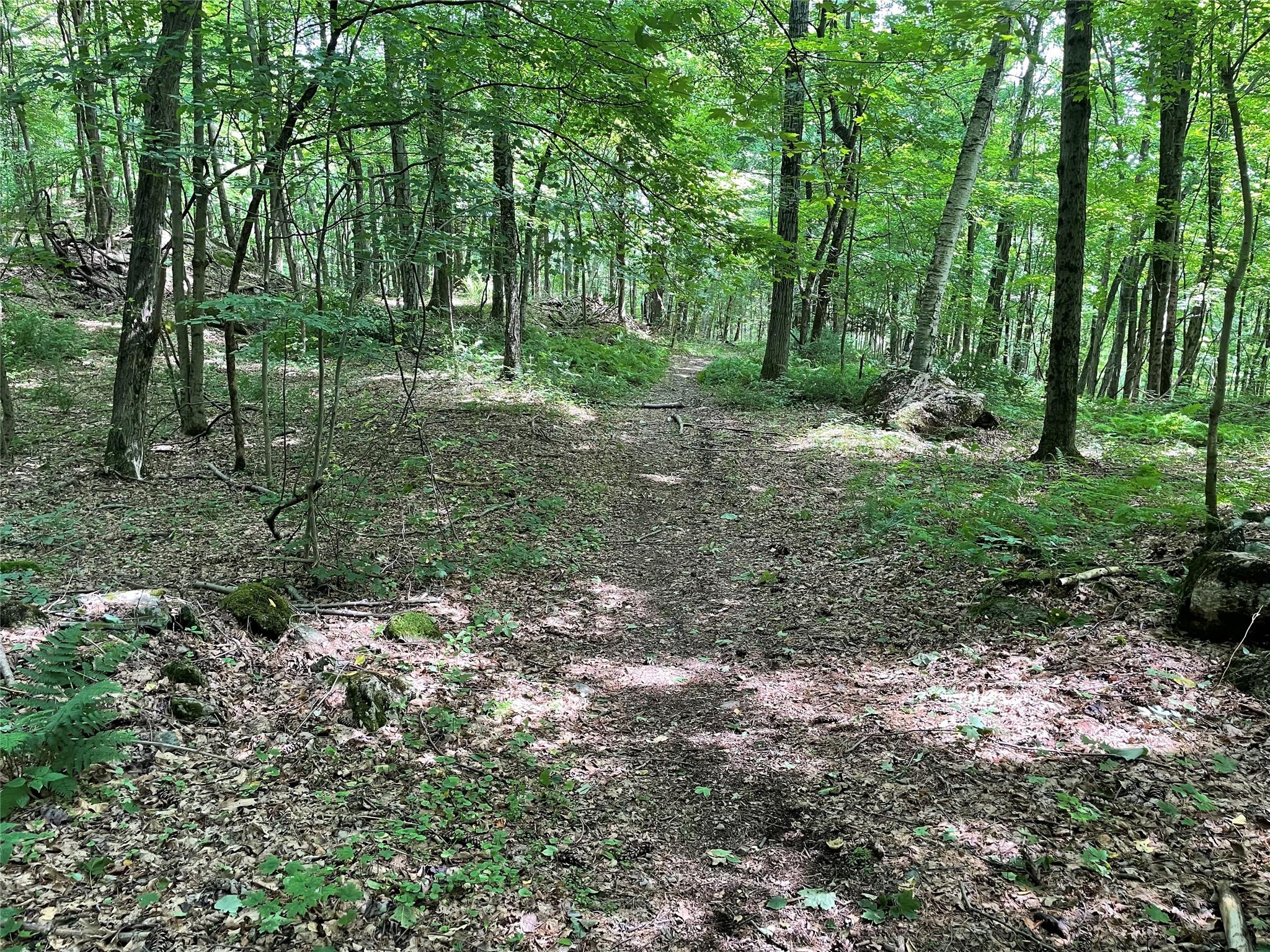 0 Fiddler's Bridge/schoolhouse Road Clinton Corners, NY 00000 - Photo 36 of 50 a view of outdoor space and green space