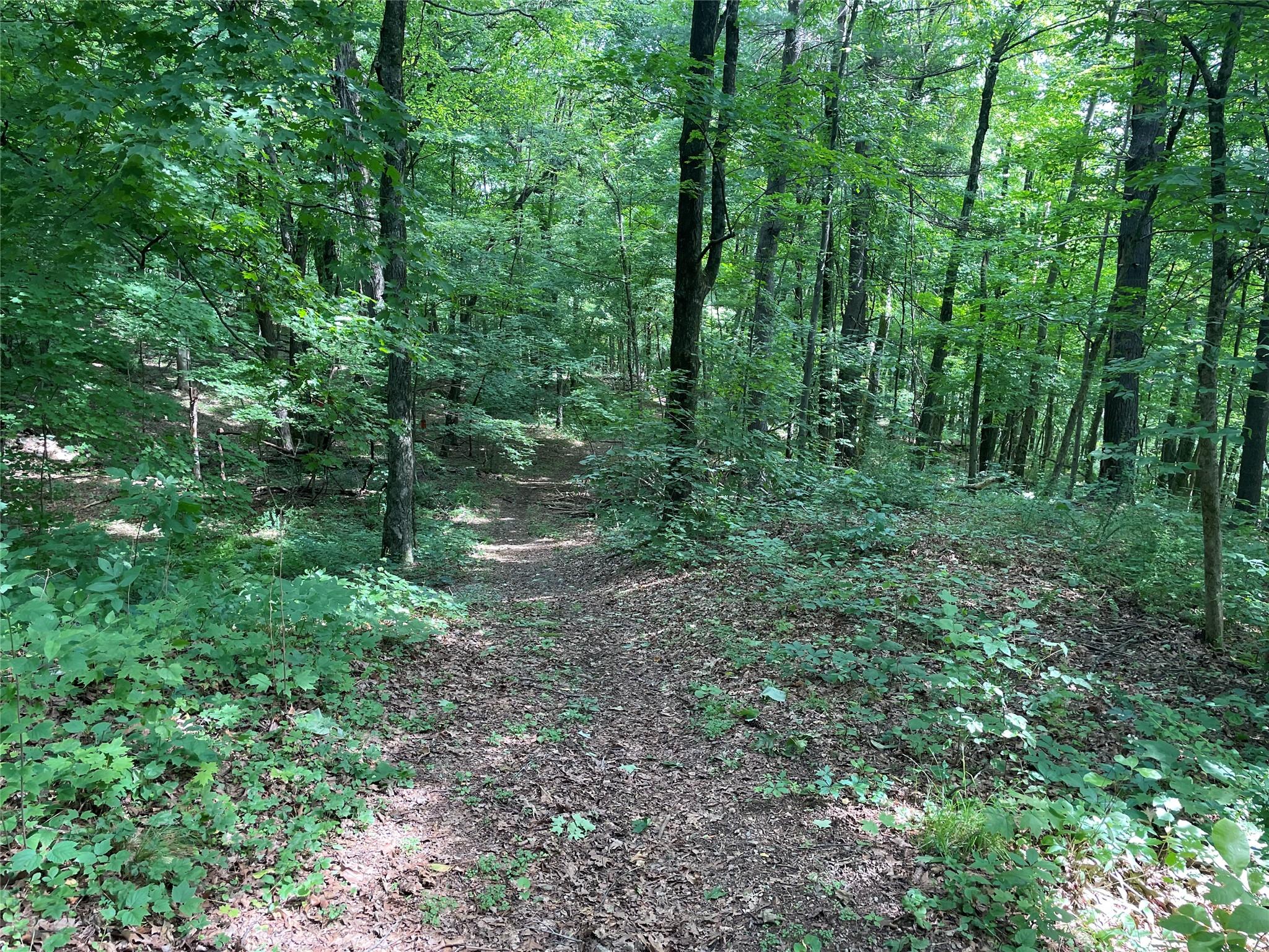 0 Fiddler's Bridge/schoolhouse Road Clinton Corners, NY 00000 - Photo 39 of 50 a view of outdoor space and green space