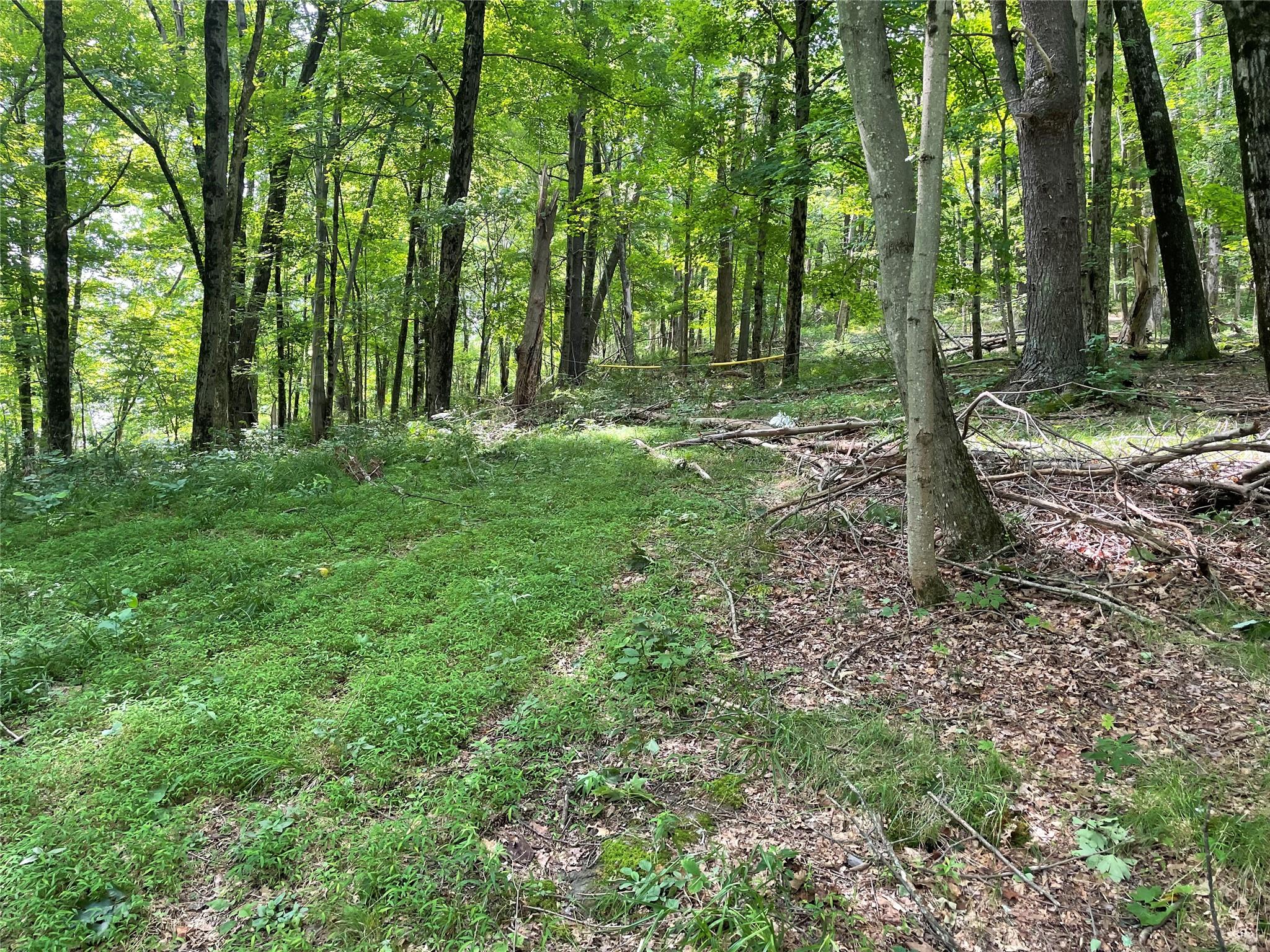 0 Fiddler's Bridge/schoolhouse Road Clinton Corners, NY 00000 - Photo 4 of 50 a backyard of a house with lots of green space