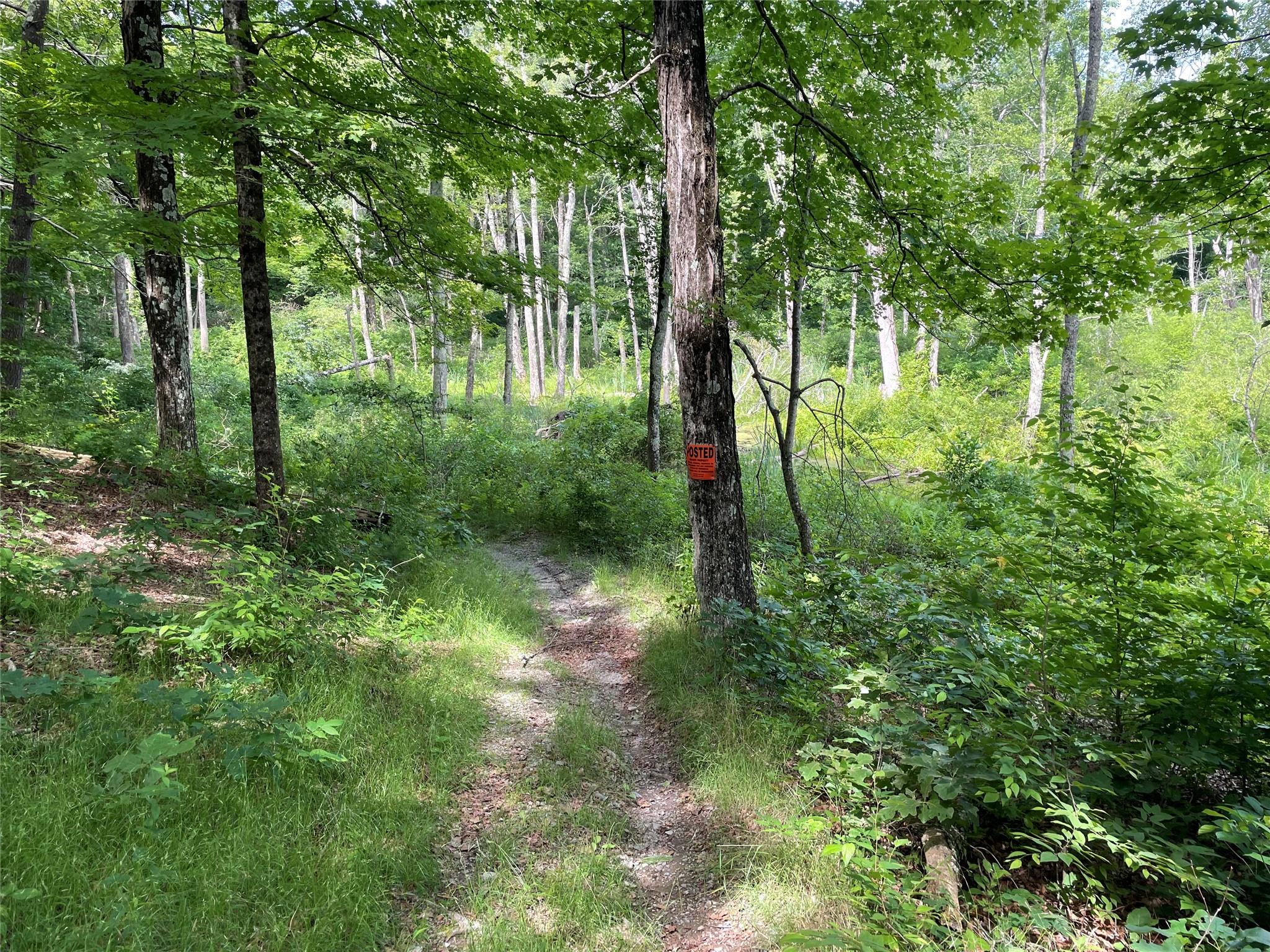 0 Fiddler's Bridge/schoolhouse Road Clinton Corners, NY 00000 - Photo 46 of 50 a view of outdoor space and trees all around