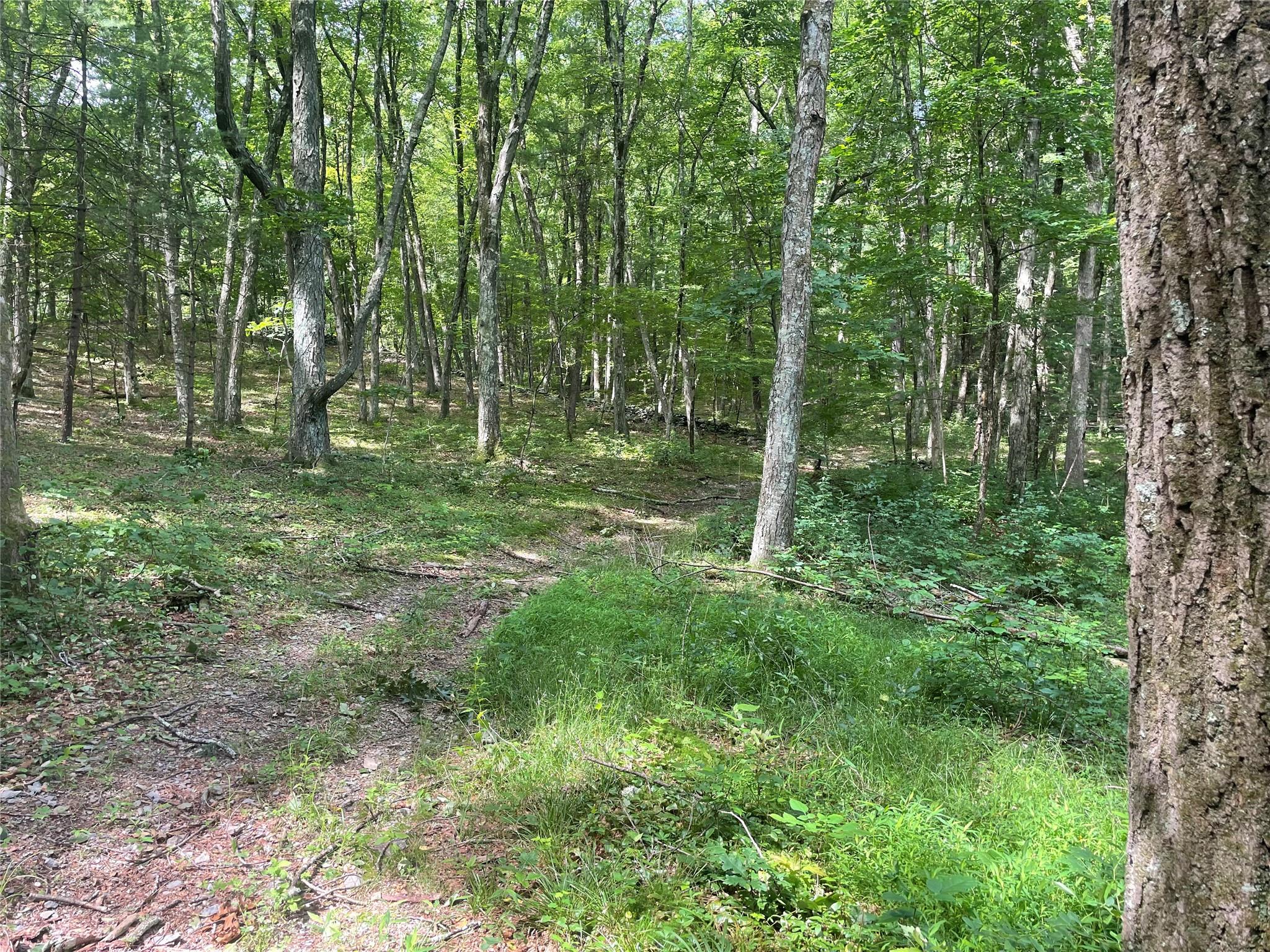 0 Fiddler's Bridge/schoolhouse Road Clinton Corners, NY 00000 - Photo 47 of 50 a view of outdoor space and green space