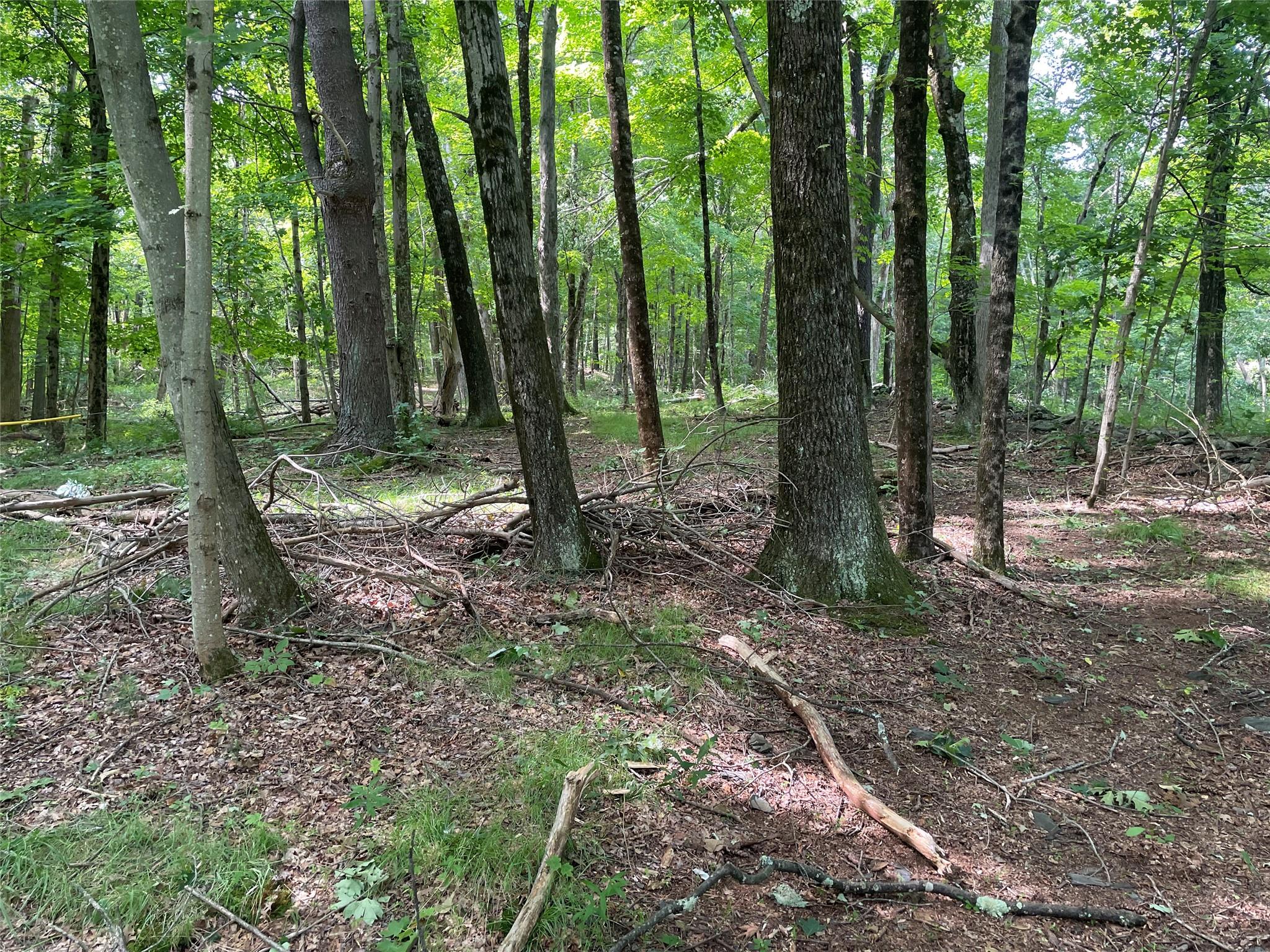 0 Fiddler's Bridge/schoolhouse Road Clinton Corners, NY 00000 - Photo 5 of 50 a backyard of a house with lots of green space