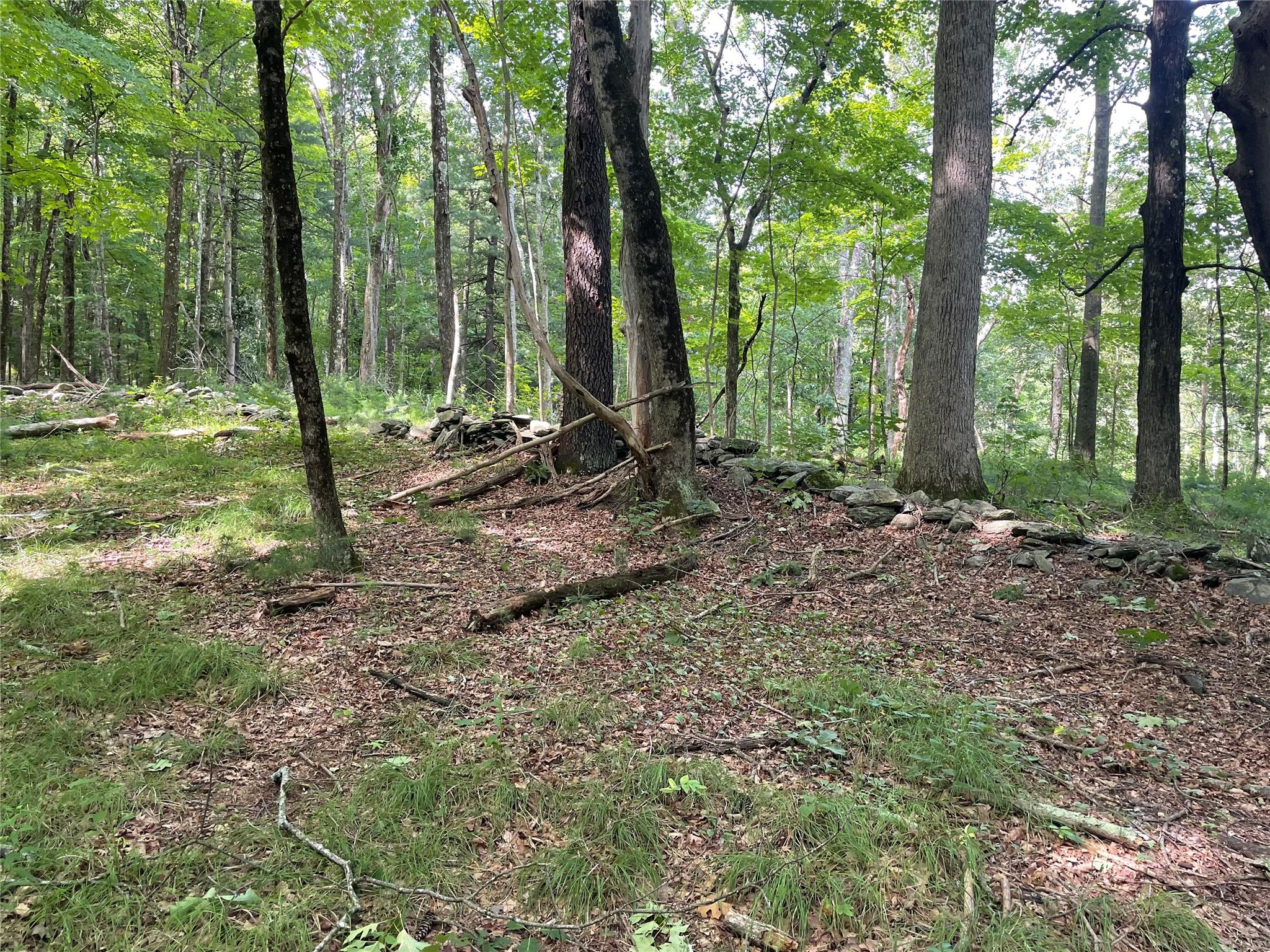 0 Fiddler's Bridge/schoolhouse Road Clinton Corners, NY 00000 - Photo 9 of 50 a view of outdoor space and green space