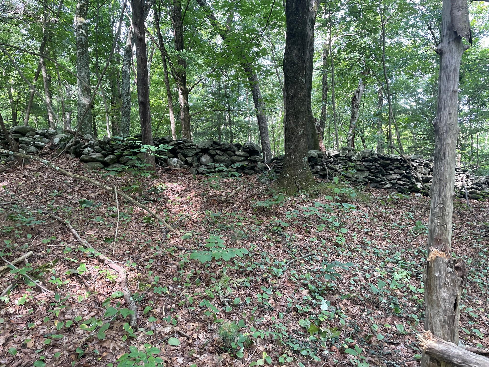 0 Fiddler's Bridge/schoolhouse Road Clinton Corners, NY 00000 - Photo 10 of 50 a view of outdoor space and green space