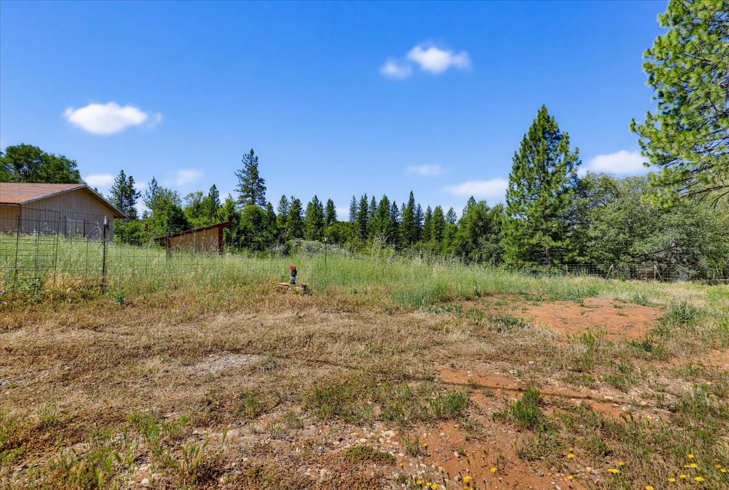 12666 Robinson Road Nevada City, CA 95959 - Photo 61 of 72