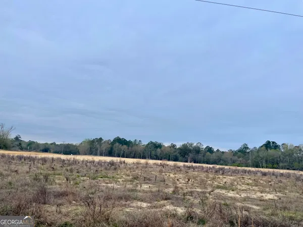 a view of a lake in middle of forest and trees