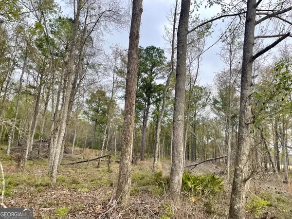 a view of lake and mountain