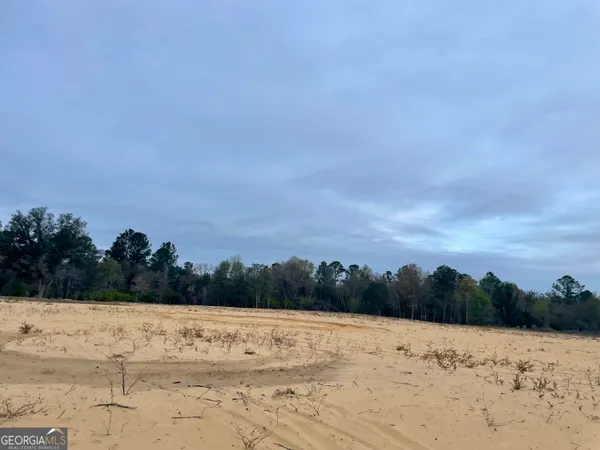 $124,900 | 9.59-ac Jarriel's Bridge Spur Road, Collins, GA 30421