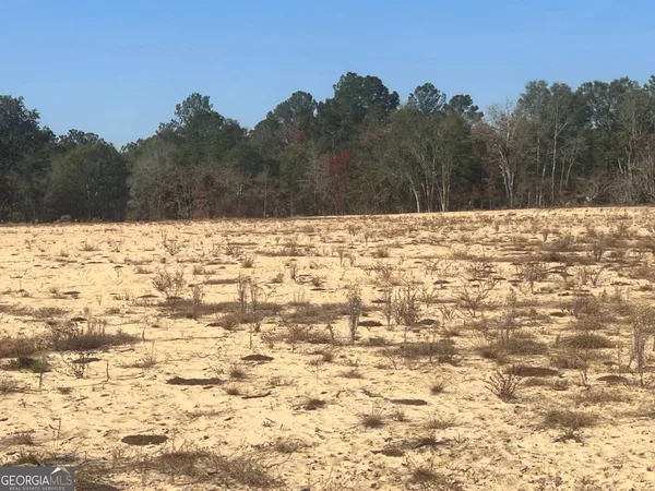 $124,900 | 9.59-ac Jarriel's Bridge Spur Road, Collins, GA 30421