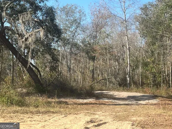 a view of a yard with large trees