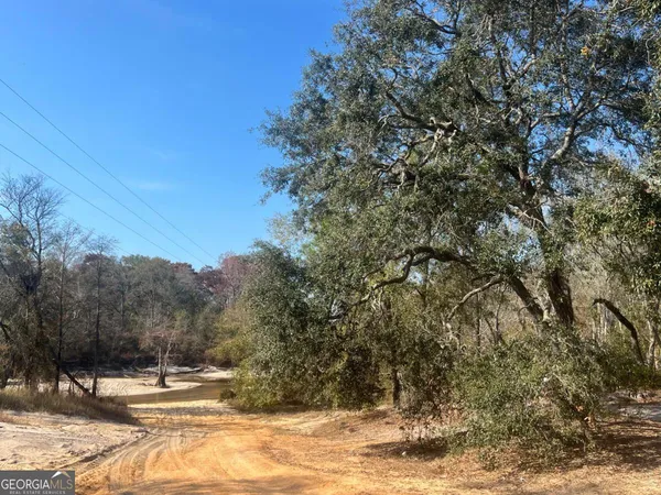 $124,900 | 9.59-ac Jarriel's Bridge Spur Road, Collins, GA 30421