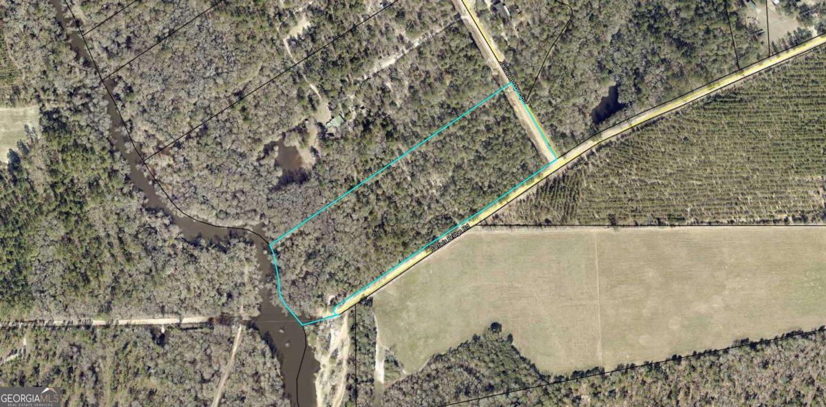 9.59-ac Jarriel's Bridge Spur Road Collins, GA 30421 - Photo 10 of 15