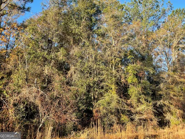 $124,900 | 9.59-ac Jarriel's Bridge Spur Road, Collins, GA 30421