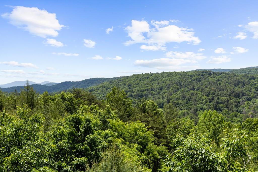 436 Geronimo Road Cherry Log, GA 30522 - Photo 5 of 58 a view of a city with lush green forest
