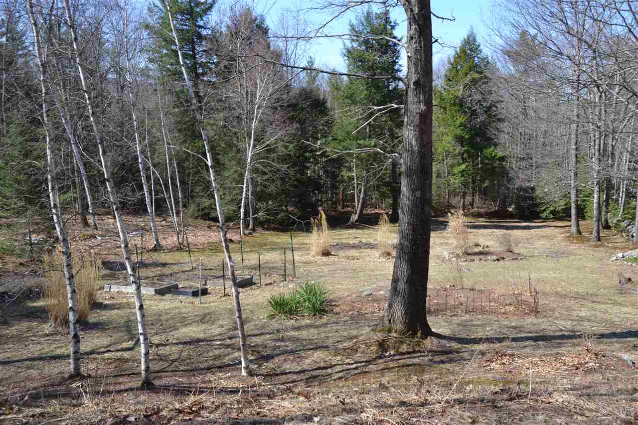 142 Hayes Road Alton, NH 03809 - Photo 8 of 32