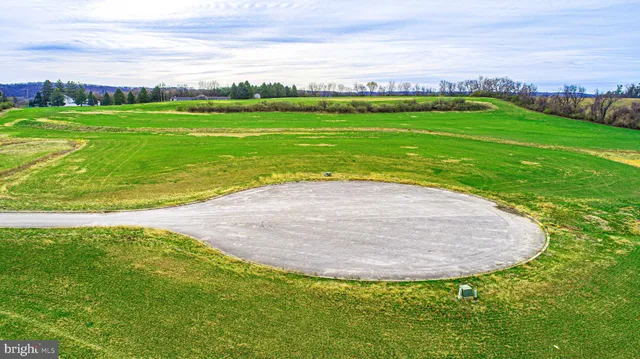 a view of yard with swimming pool and green space