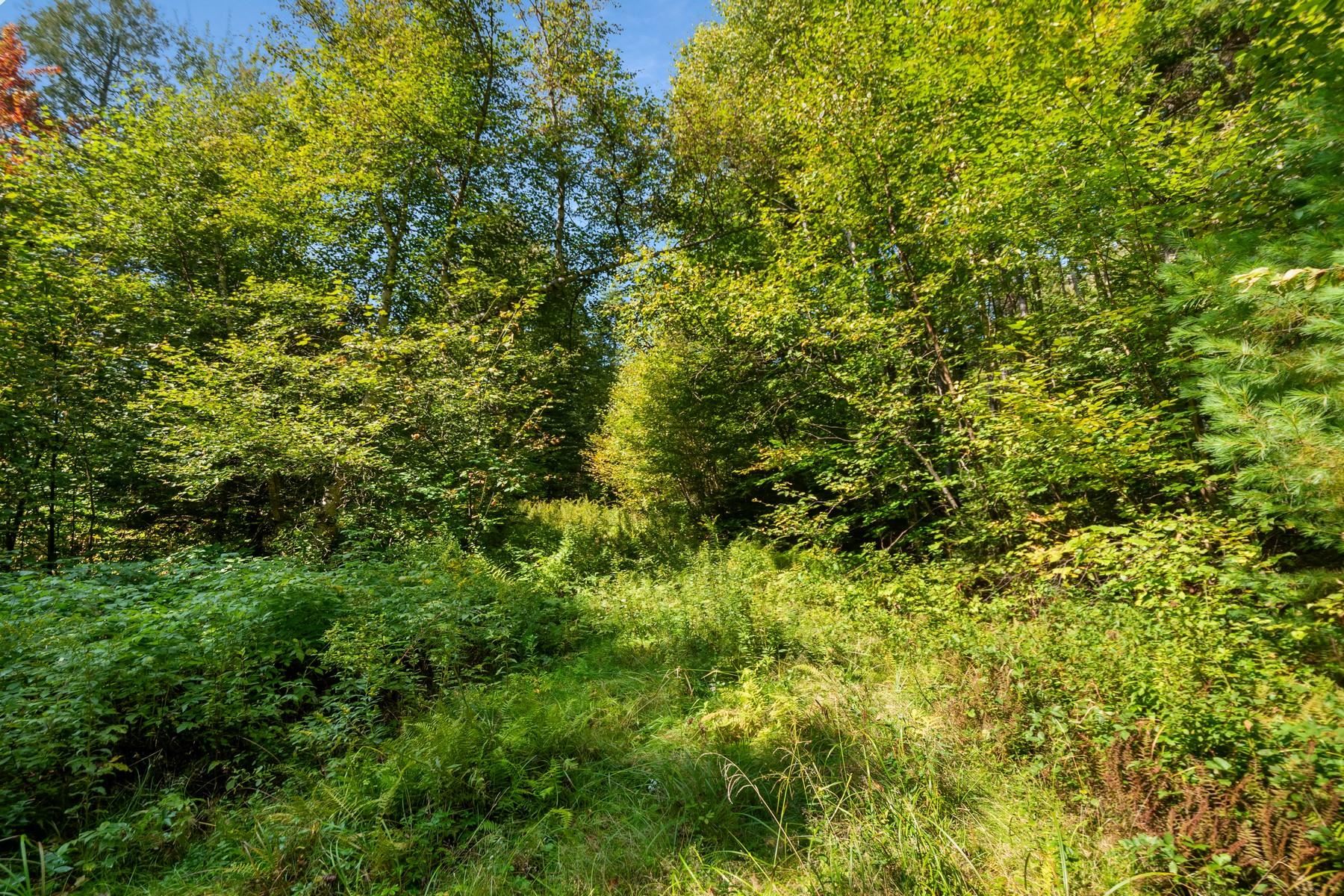 905 South Hill Road Stockbridge, VT 05762 - Photo 4 of 10