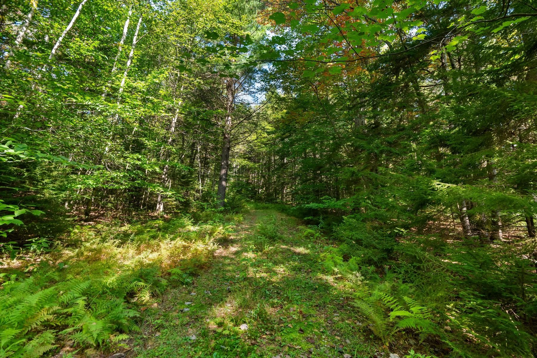 905 South Hill Road Stockbridge, VT 05762 - Photo 5 of 10