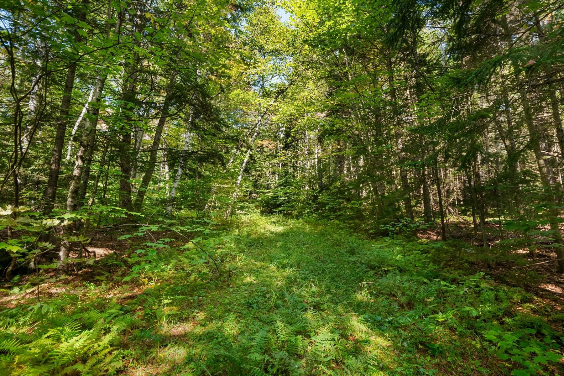 905 South Hill Road Stockbridge, VT 05762 - Photo 6 of 10