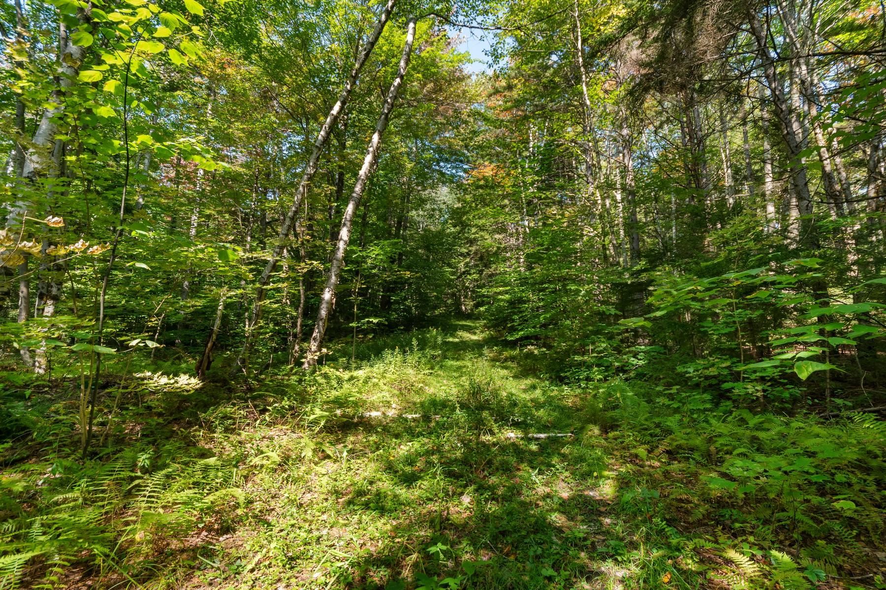 905 South Hill Road Stockbridge, VT 05762 - Photo 7 of 10