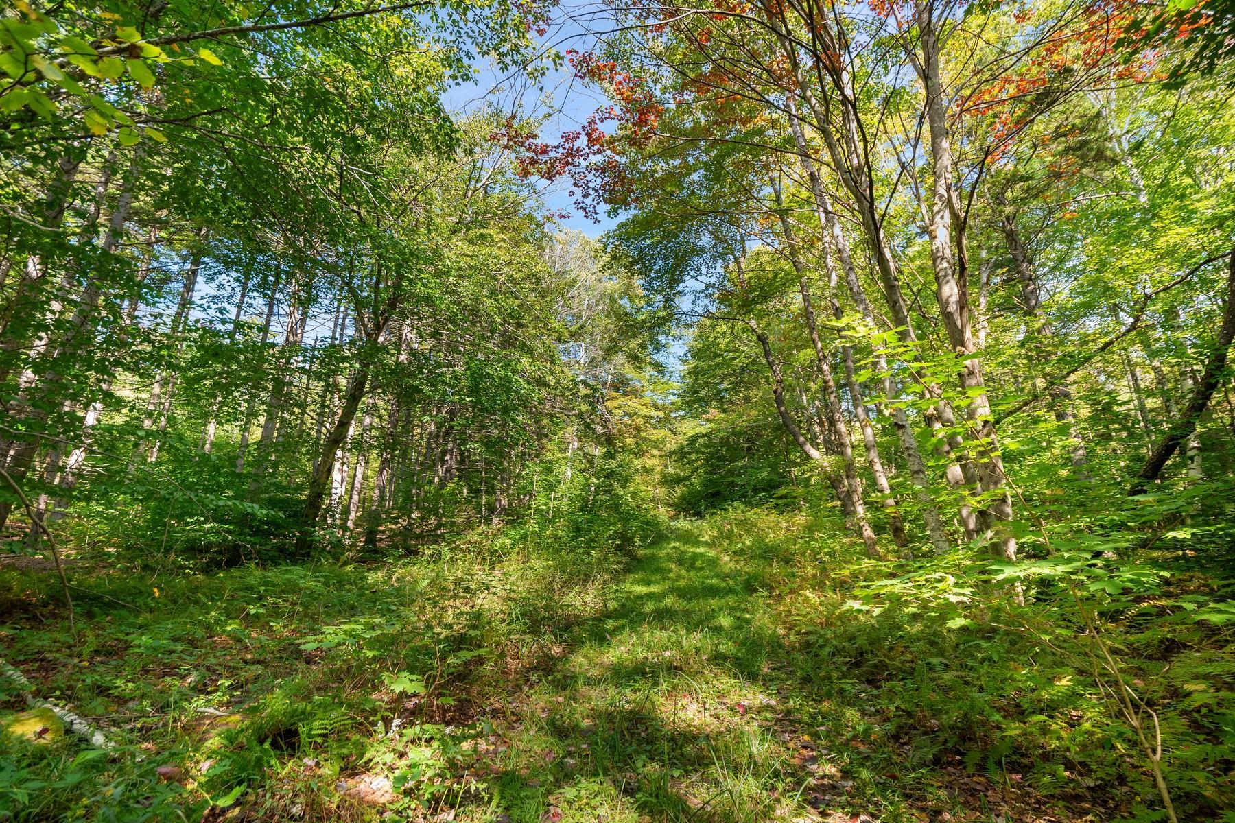 905 South Hill Road Stockbridge, VT 05762 - Photo 8 of 10