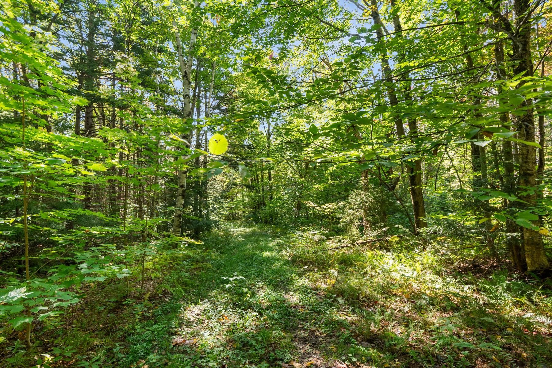 905 South Hill Road Stockbridge, VT 05762 - Photo 9 of 10