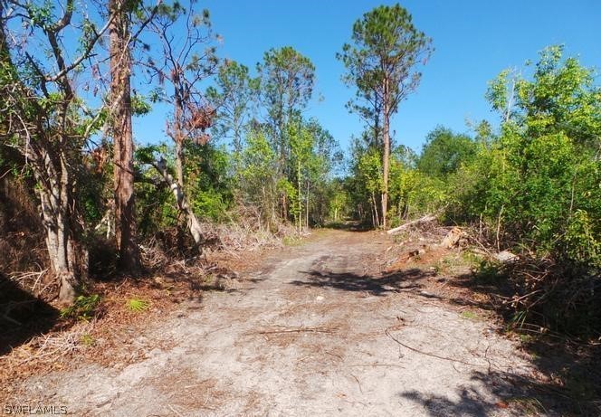 33631 Oil Well Road Punta Gorda, FL 33955 - Photo 4 of 11