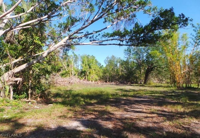 33631 Oil Well Road Punta Gorda, FL 33955 - Photo 5 of 11