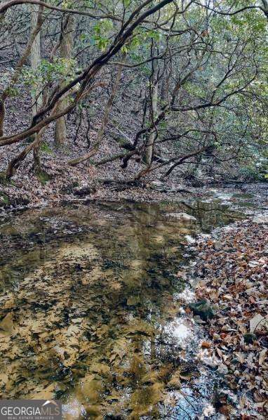 2197 Damascus Road Ball Ground, GA 30107 - Photo 6 of 39 a view of a yard with a pathway