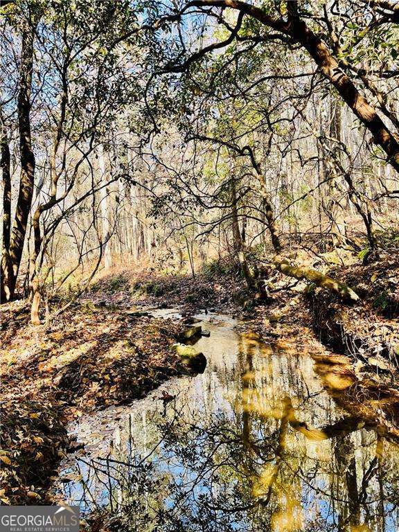 2197 Damascus Road Ball Ground, GA 30107 - Photo 7 of 39 a view of water covered with snow