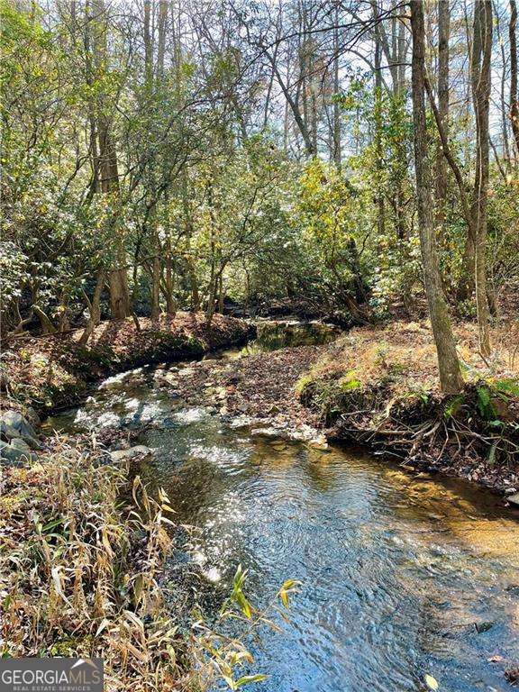 2197 Damascus Road Ball Ground, GA 30107 - Photo 8 of 39 a view of a yard with an trees