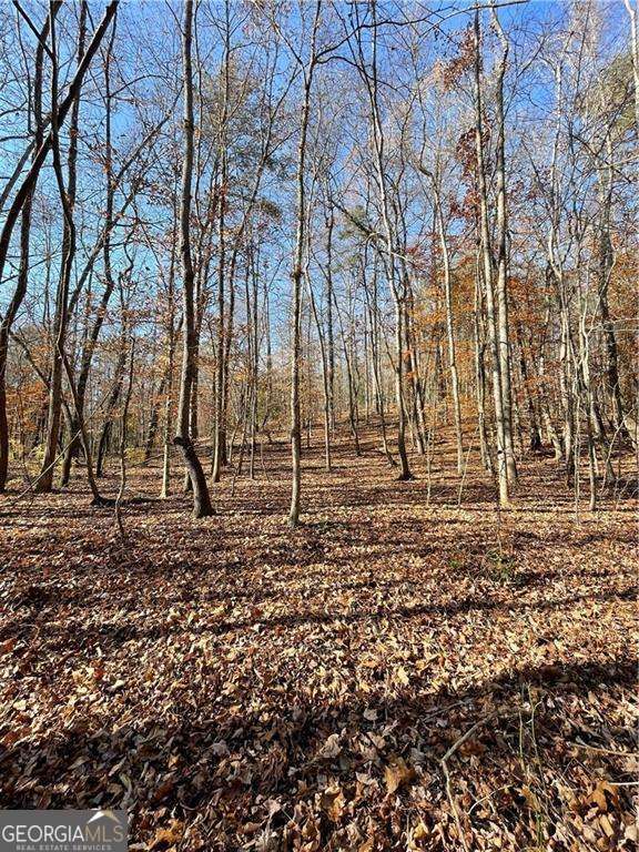 2197 Damascus Road Ball Ground, GA 30107 - Photo 9 of 39 a backyard of a house with lots of green space