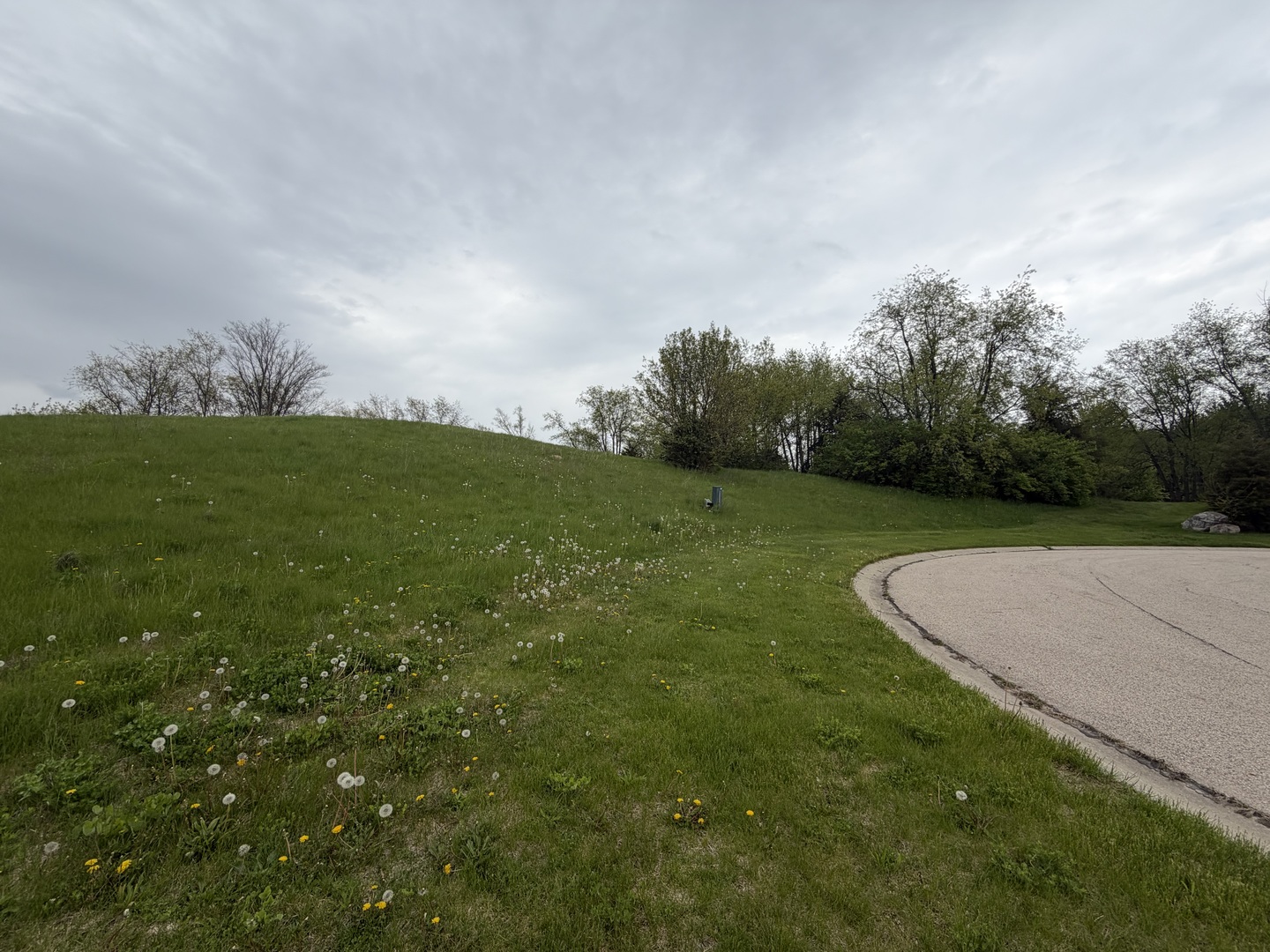 7010 Wildflower Court Spring Grove, IL 60081 - Photo 3 of 7