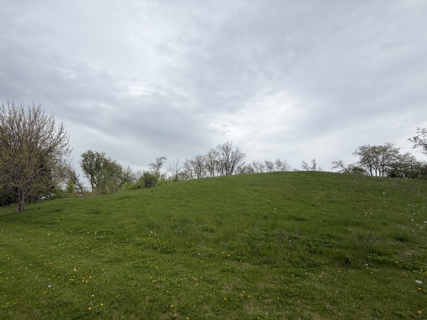 7010 Wildflower Court Spring Grove, IL 60081 - Photo 4 of 7