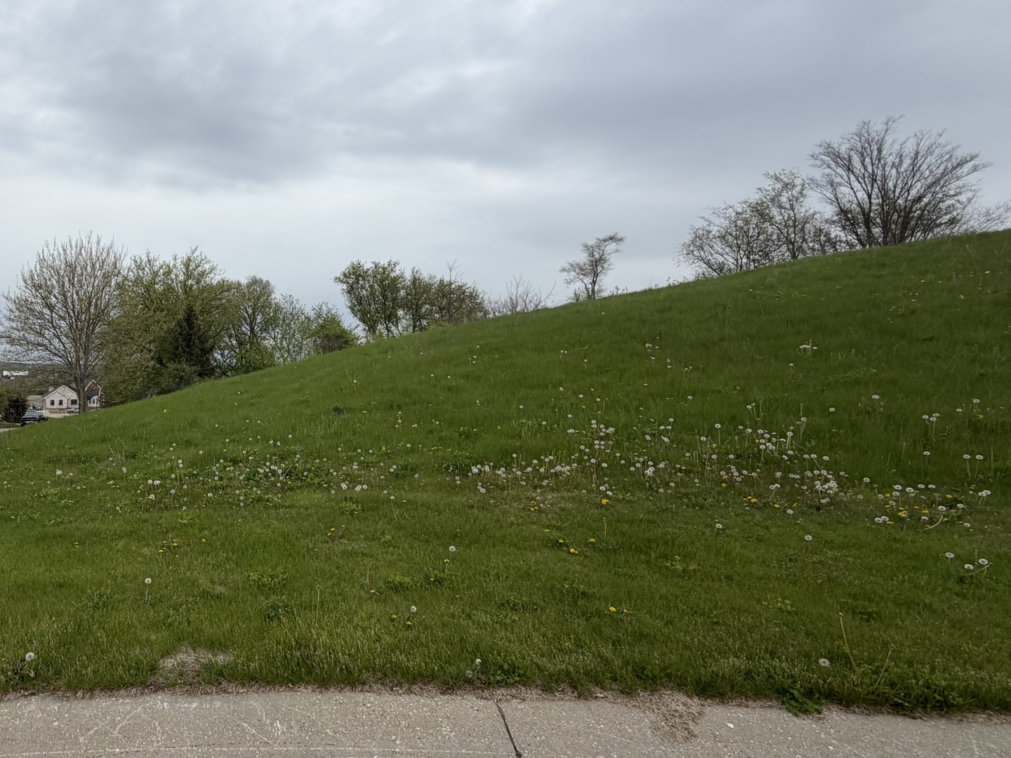 7010 Wildflower Court Spring Grove, IL 60081 - Photo 5 of 7