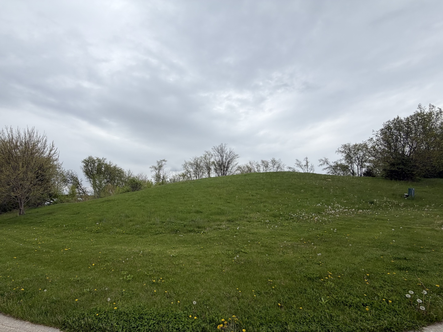7010 Wildflower Court Spring Grove, IL 60081 - Photo 6 of 7